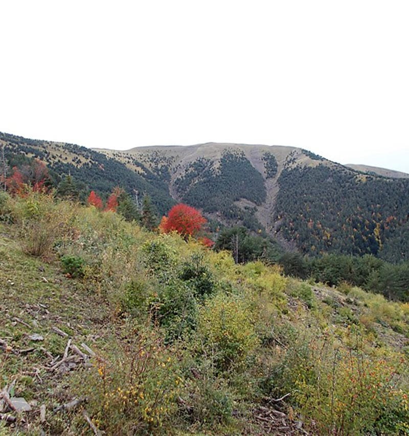 Ruta-Oto-Ermita-De-La-Asunción