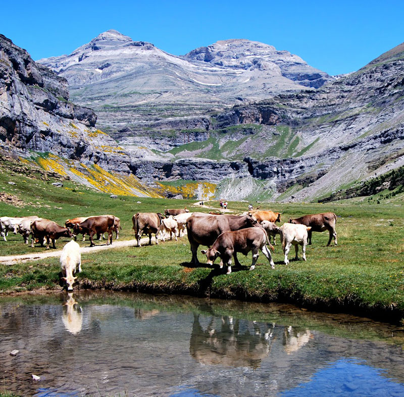 Valle-De-Vió