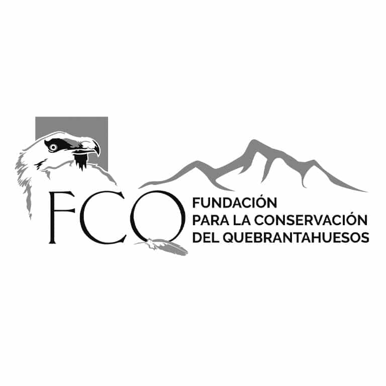 Logo-FCQ